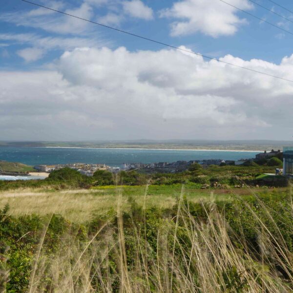 Treleigh