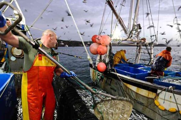 BBC’s Cornwall: This Fishing Life