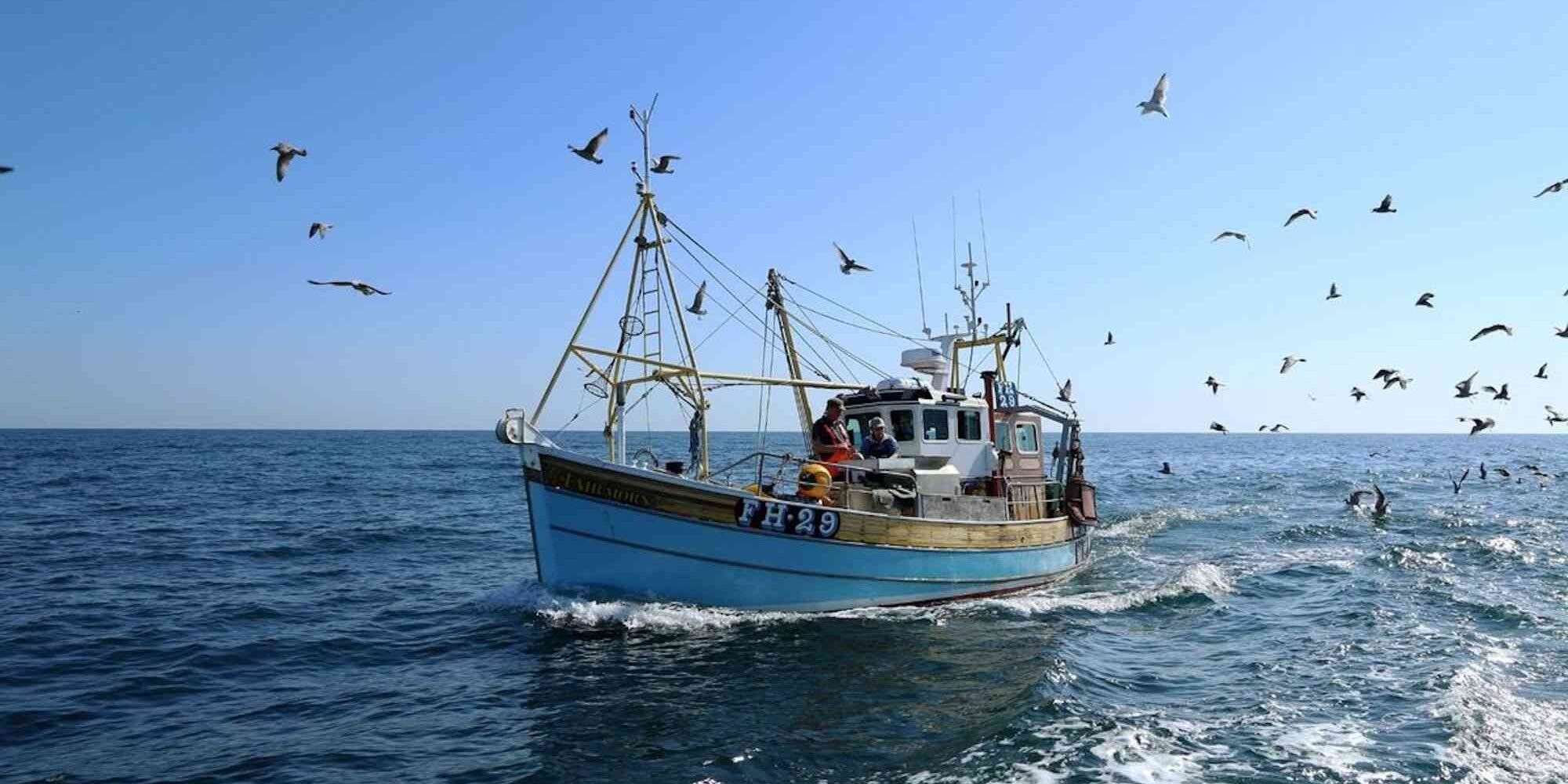 BBC’s Cornwall: This Fishing Life