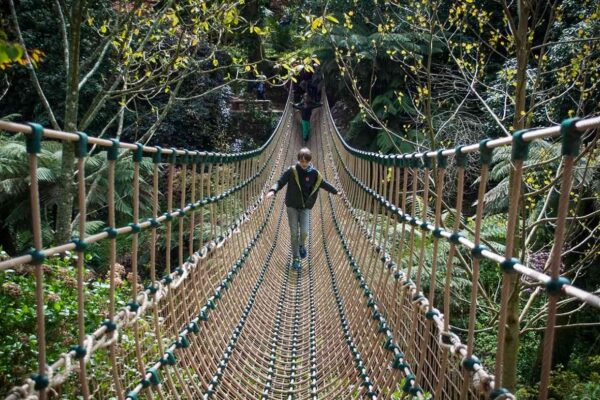 Cornwall Attractions & Activities