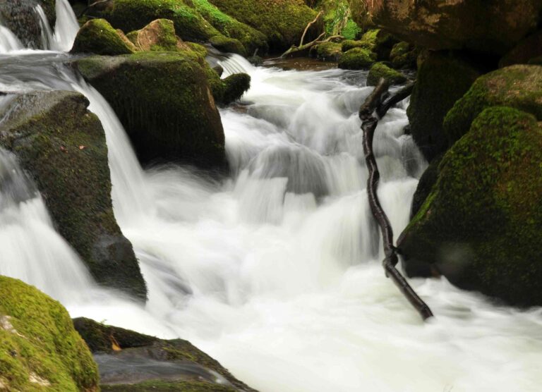 2985px Golitha Falls 2
