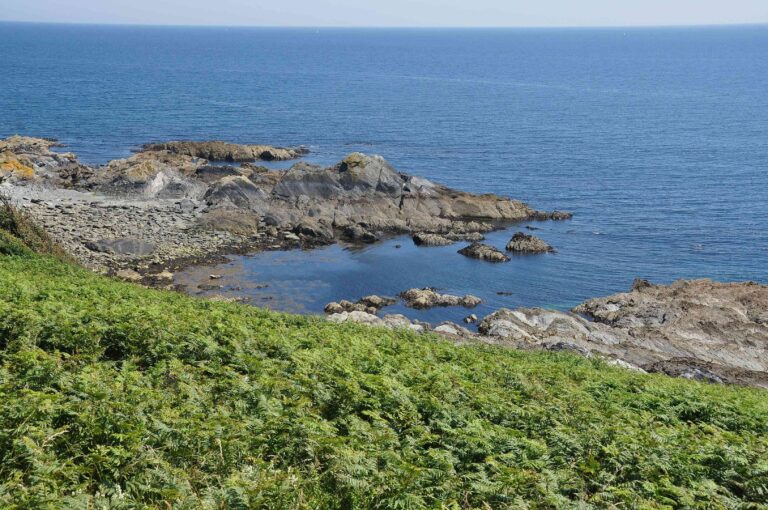 3252px Broad Cove (9806)