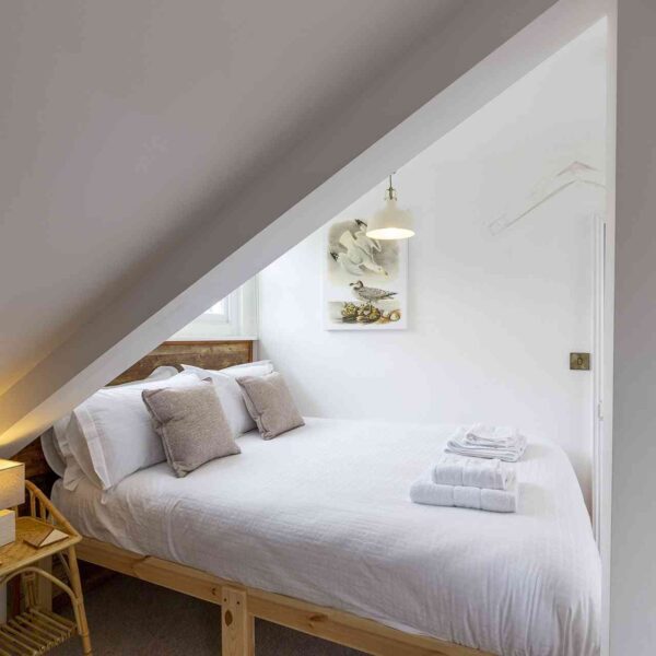 Salubrious House