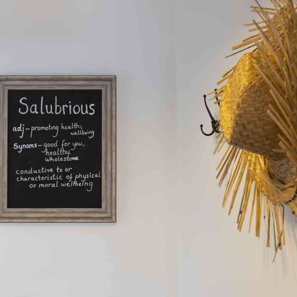 Salubrious House