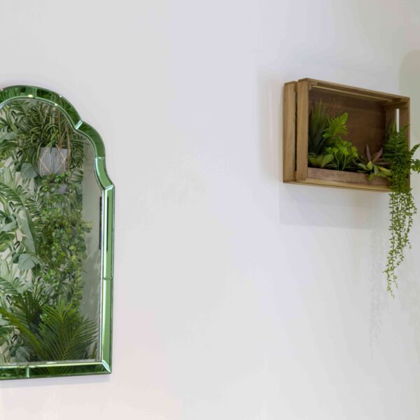 Salubrious House