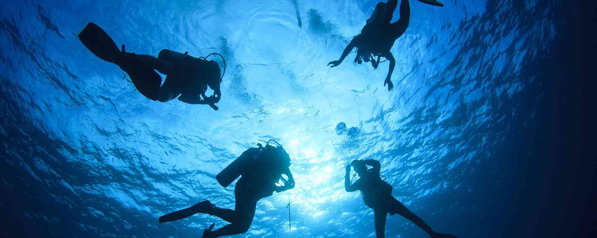 Nature Activities & Clubs