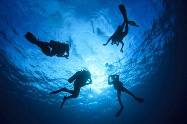 Diving Clubs