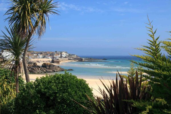 Cornish Plants