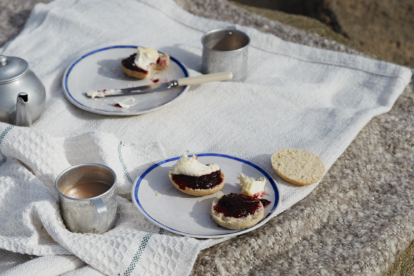 Emily Scott’s Cornish Splits