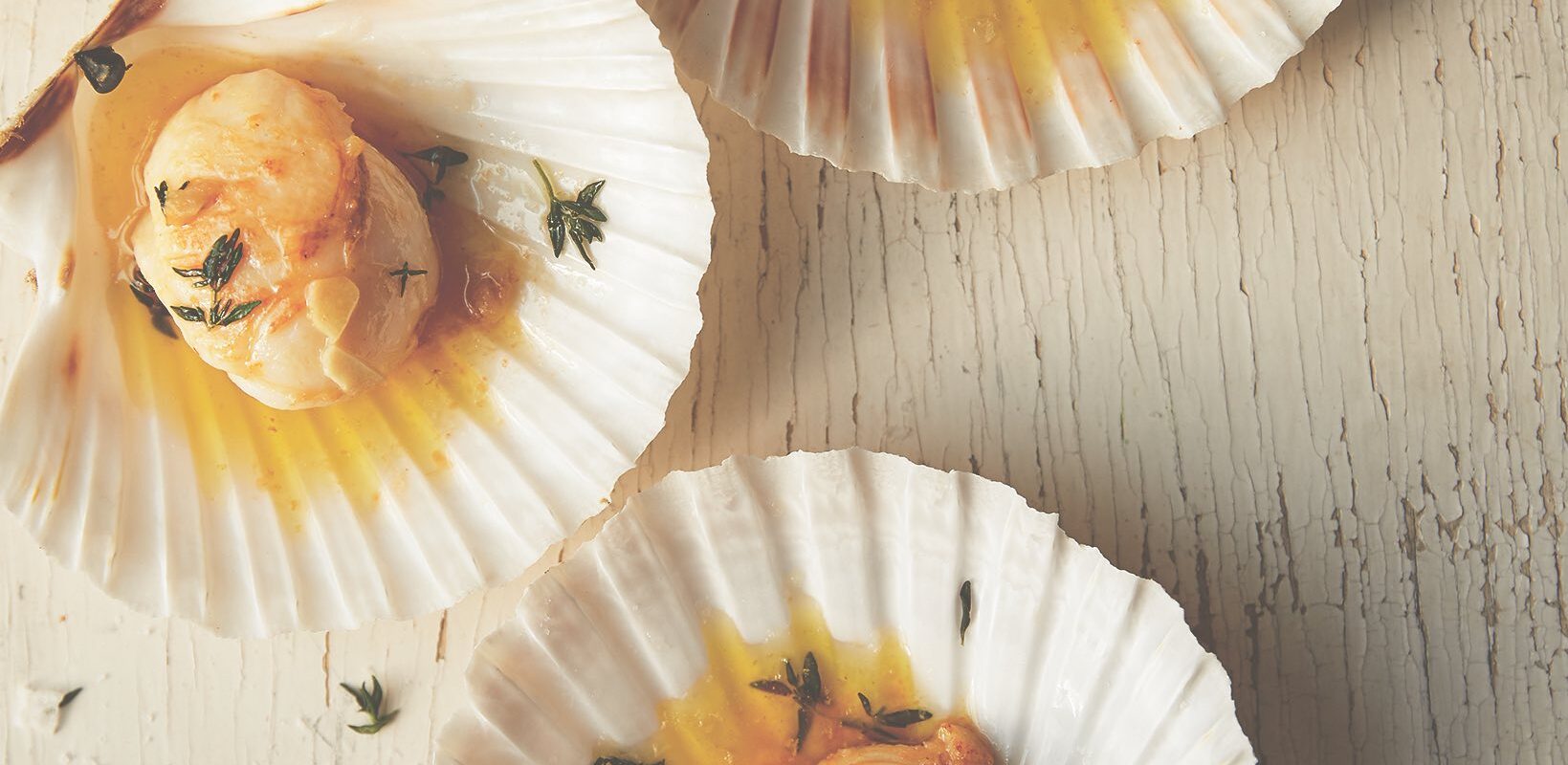 Emily Scott Scallops 031