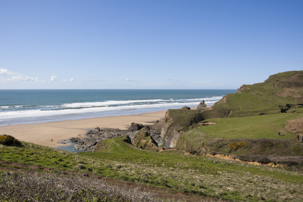 The cliff top above Sandymouth, Cornwall.