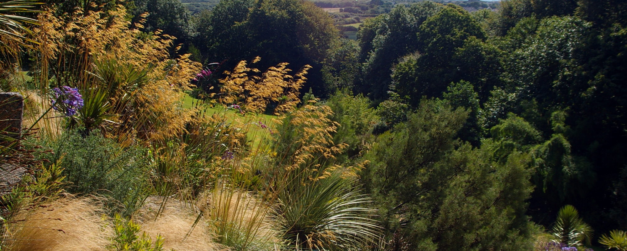 Tremenheere photo by Ali Braybrooks (2) 2