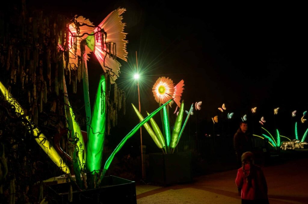 Heligan lights
