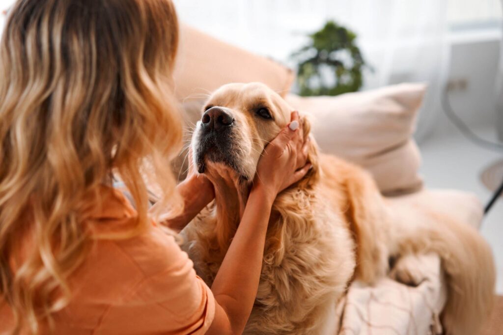 Woman cuddling a golden retriever dog at home.