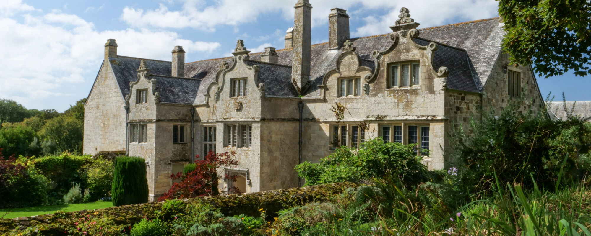 Cyclamen in front of the house at Trerice, Cornwall
