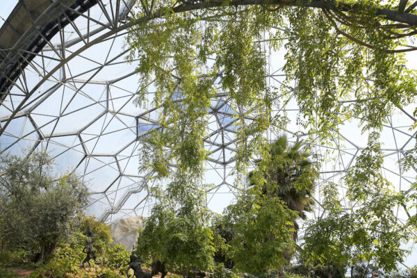 Where to Stay Near the Eden Project for a Memorable Visit