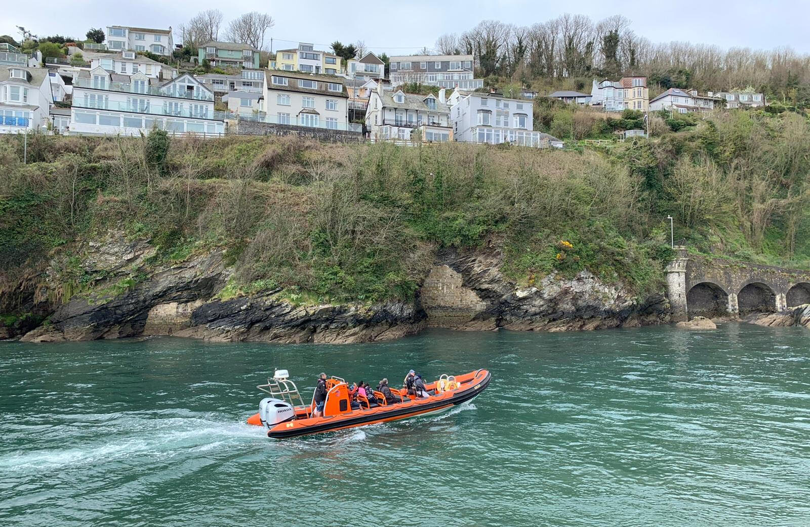 Looe Sea Safari