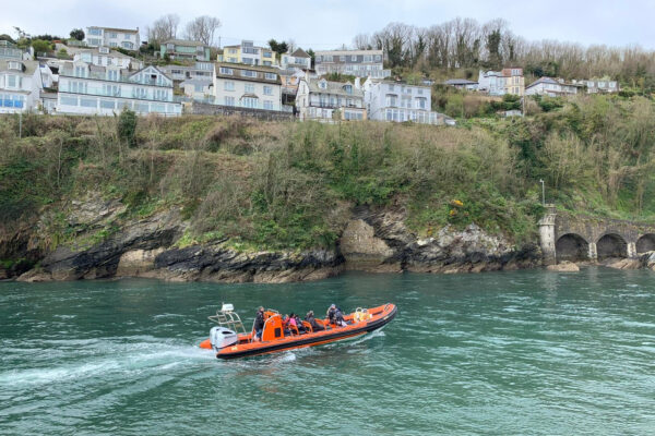 Looe Sea Safari