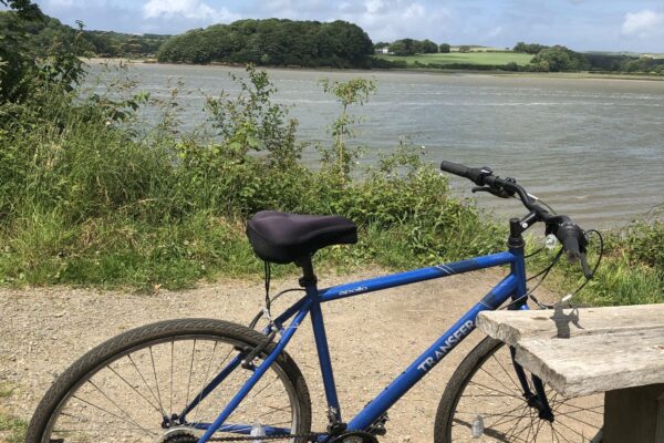 10 of the Best Family Cycle Trails in Cornwall