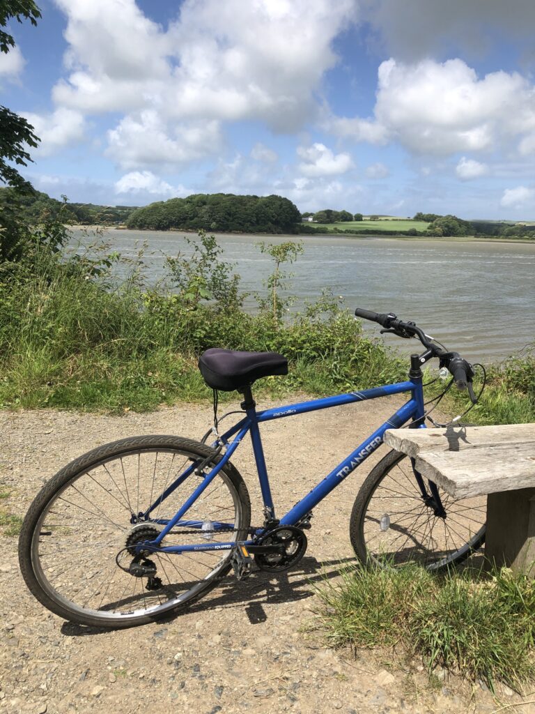 Camel Trail bike
