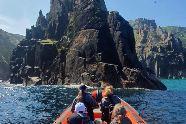 Best Boat Trips in St Ives