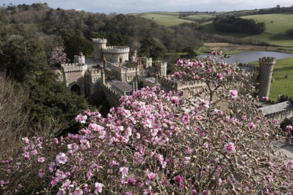 How to celebrate Valentine’s Day in Cornwall 2026