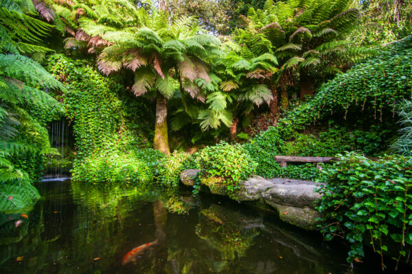 Things to do during May Half Term in Cornwall