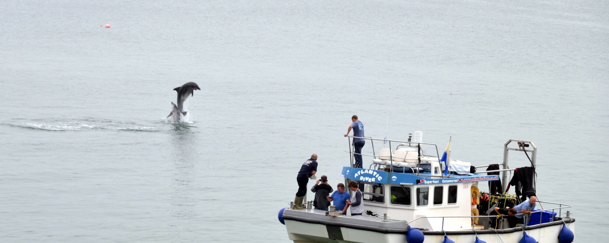 Newquay Sea Safari cruise