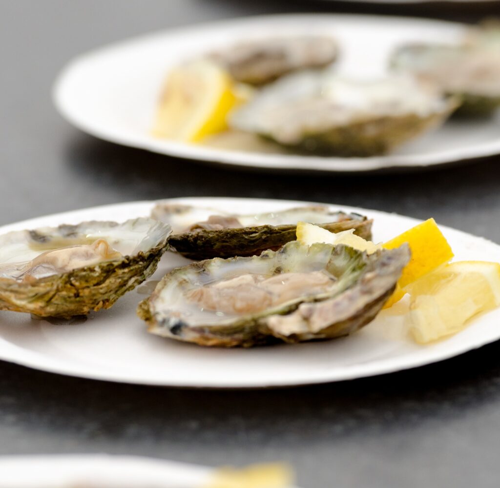 Falmouth Oyster Festival