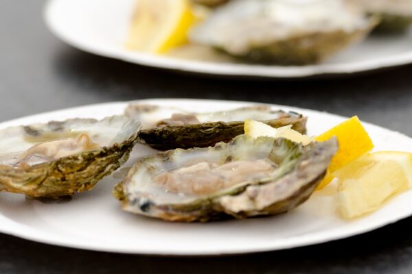 Falmouth Oyster Festival 2026: dates, tickets and where to stay
