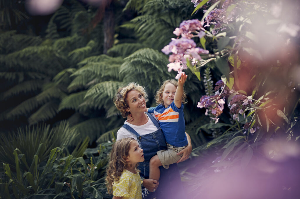 Family and Hydrangeas at Trebah