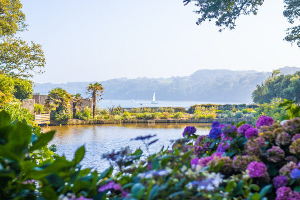 Trebah Garden, Mawnan Smith near Falmouth
