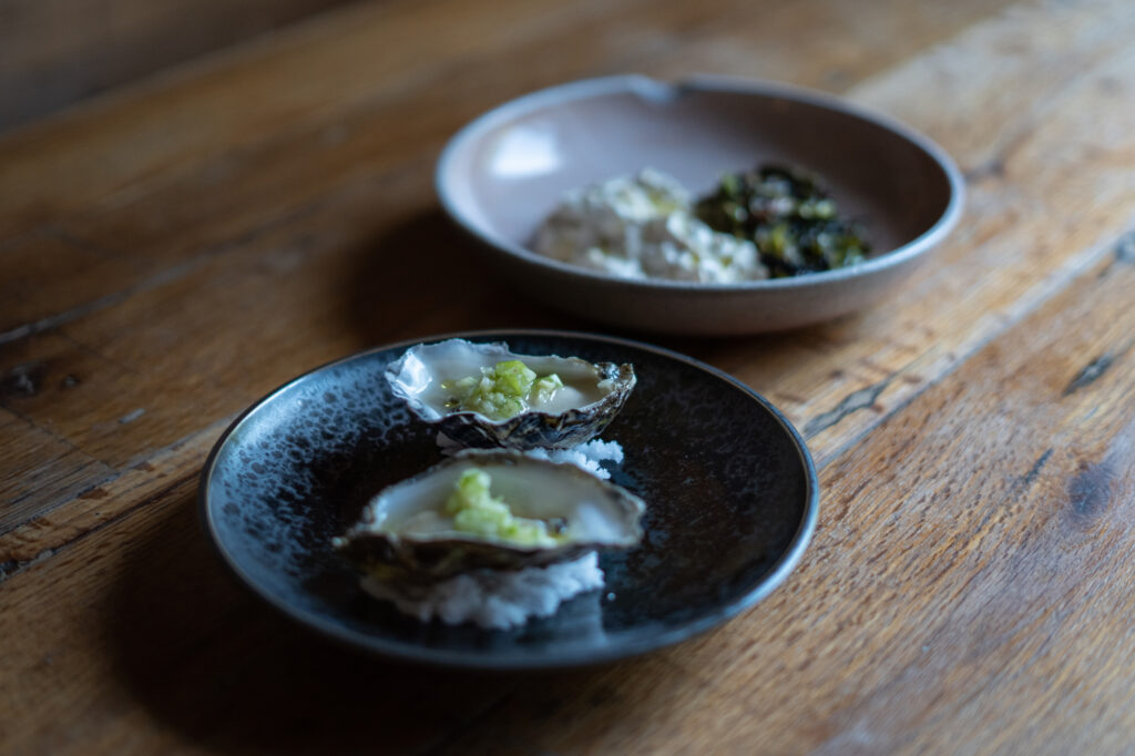 Rocket store oysters