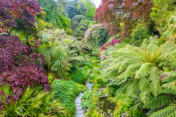 Cornish Gardens