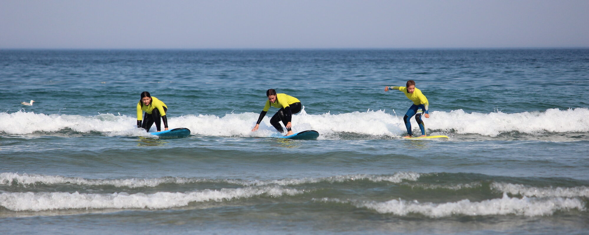The Search Surf School, Falmouth 5
