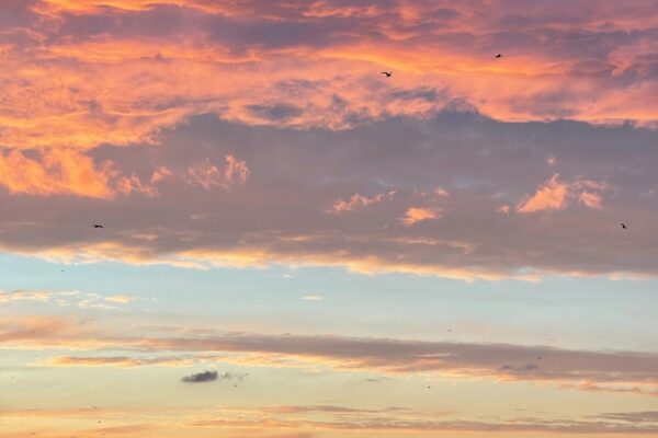 Best places to see a sunset in Falmouth