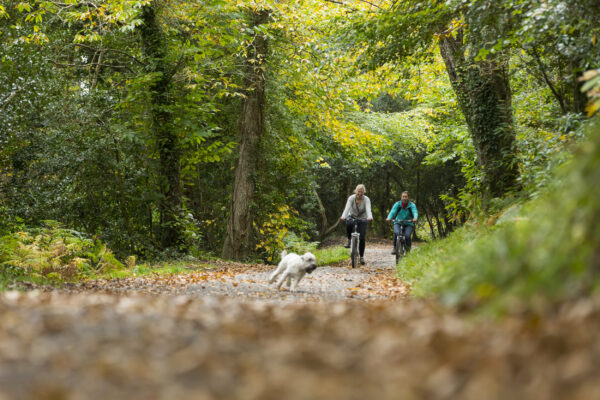 Falmouth bike trails and walks