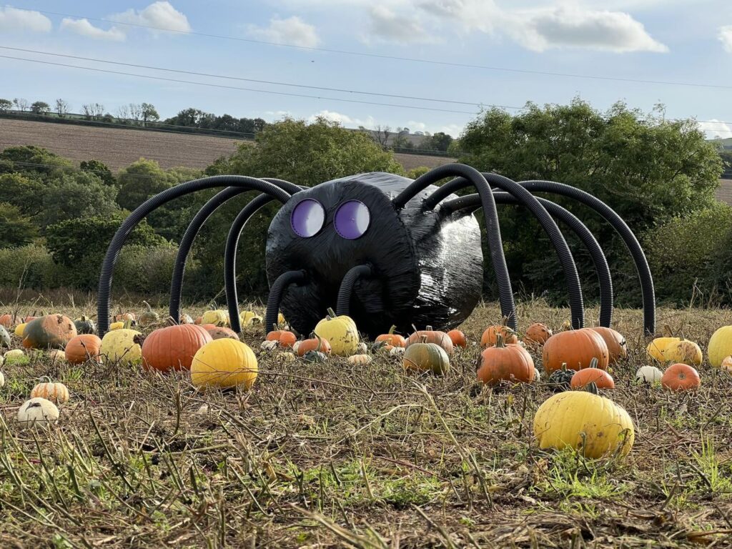 Cornish Maize Maze Halloween