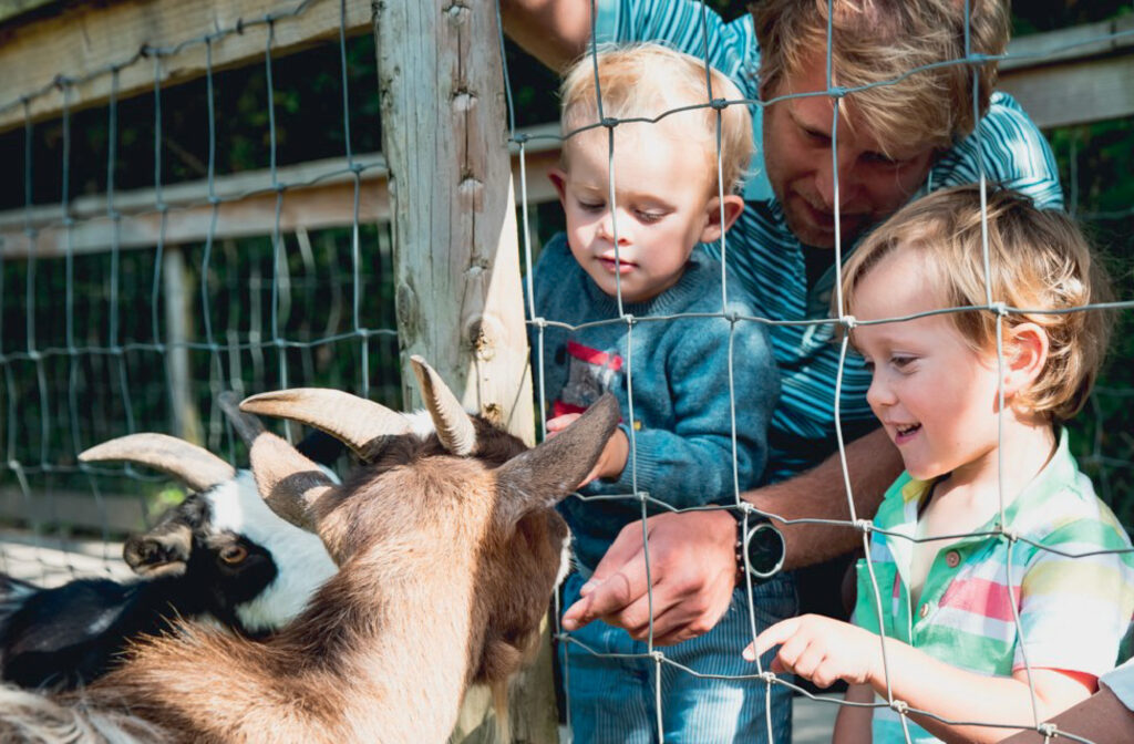 Healeys Sam kids farm animals
