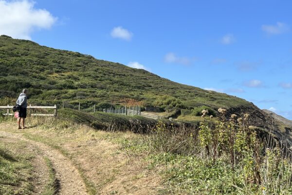 Our Favourite Hikes in Cornwall