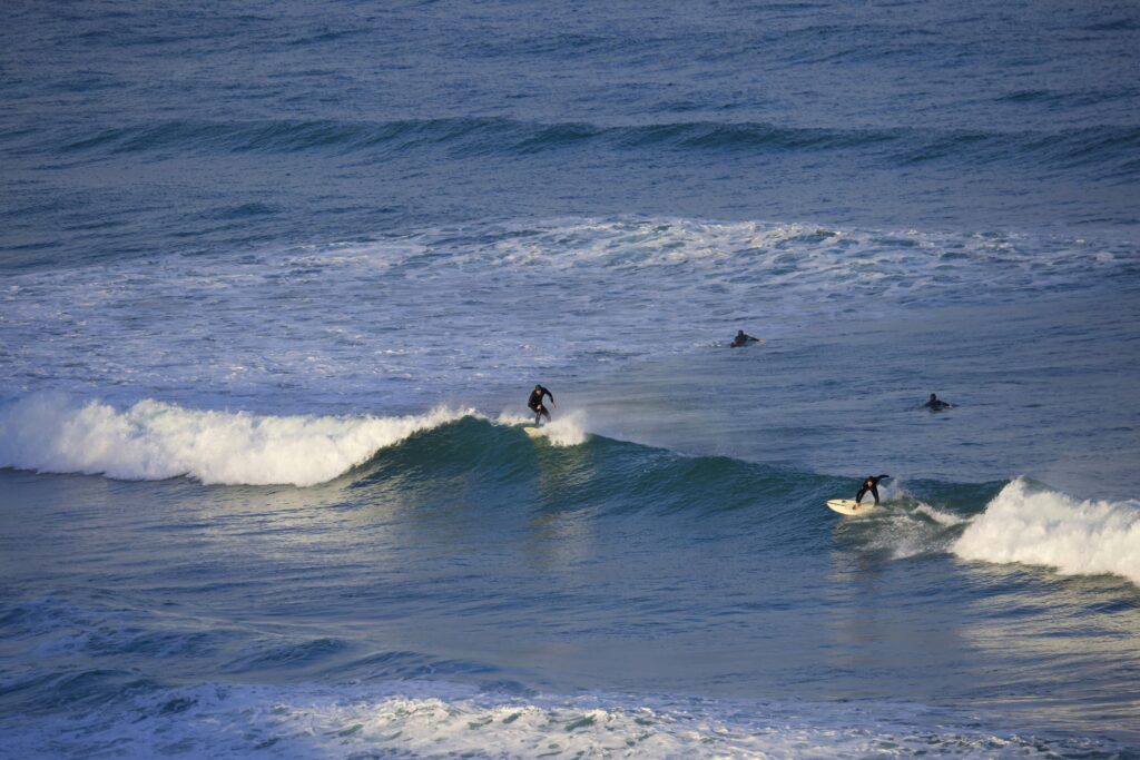 pexels stephen noulton surfing