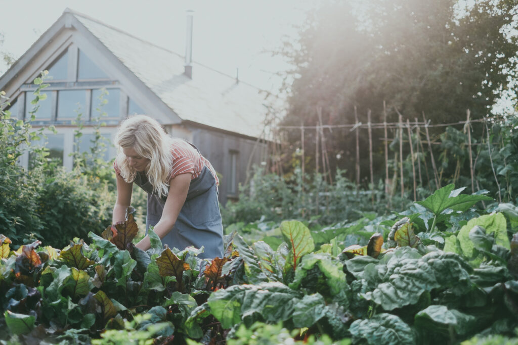 Nancarrow Farm Garden Kitchen