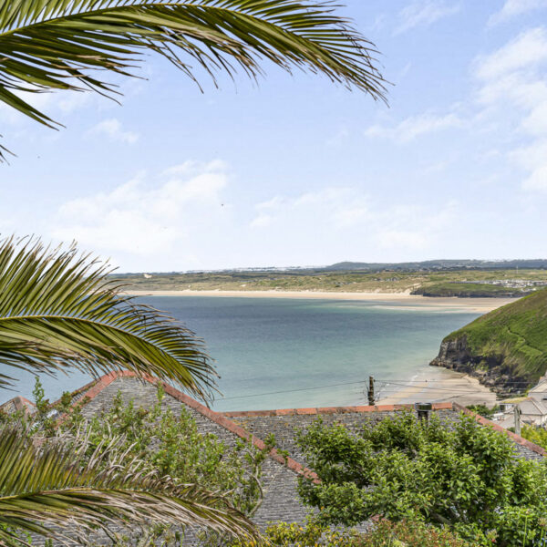 Hawkes View