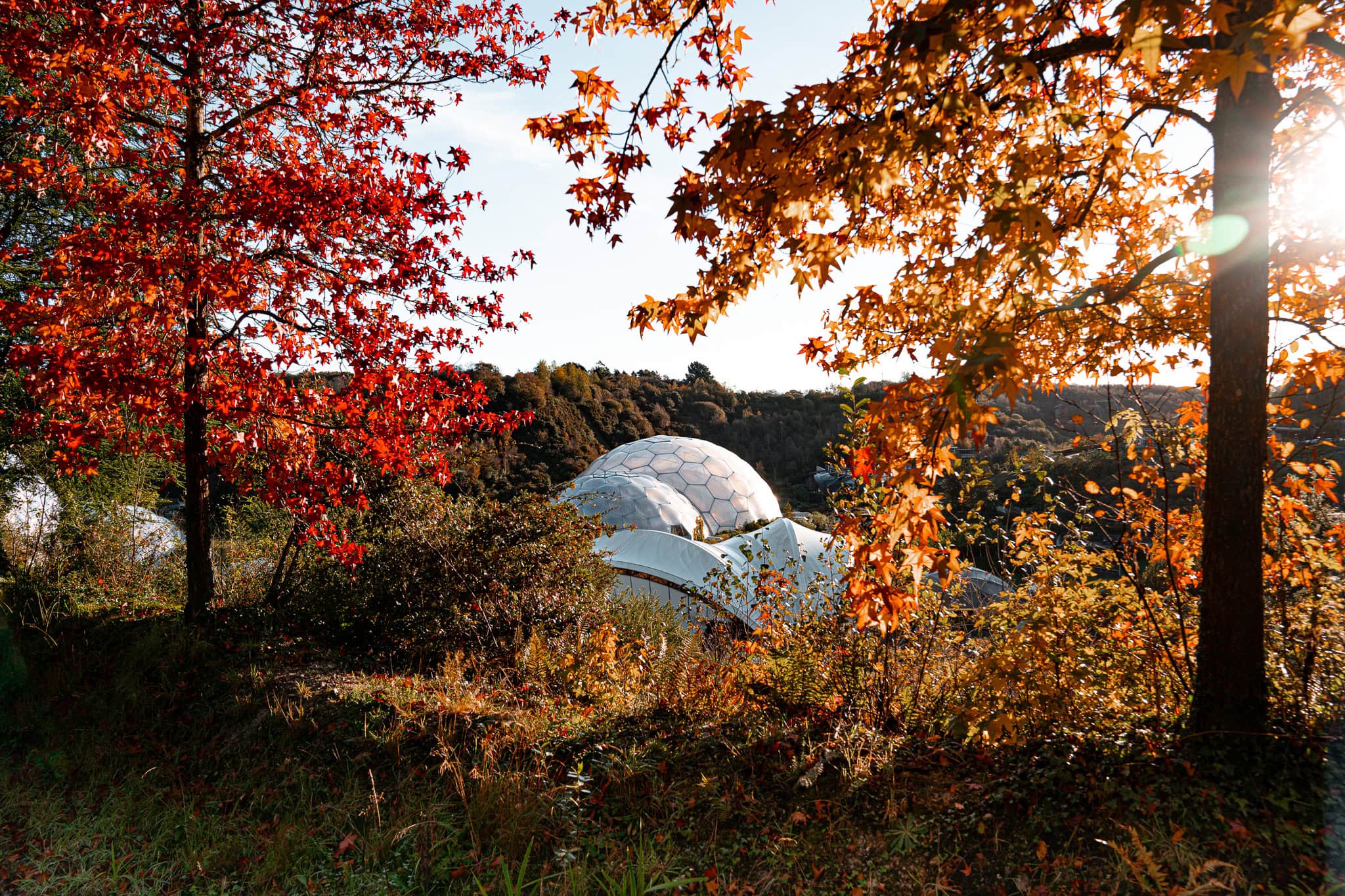 Things to do during October Half Term in Cornwall