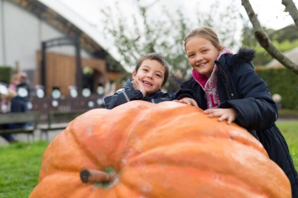 Halloween in Cornwall