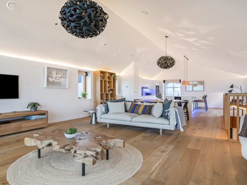 Spacious modern living room with wood flooring, stylish sofas, and contemporary decor.
