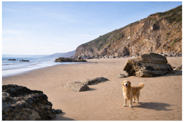 Tregonhawke Beach