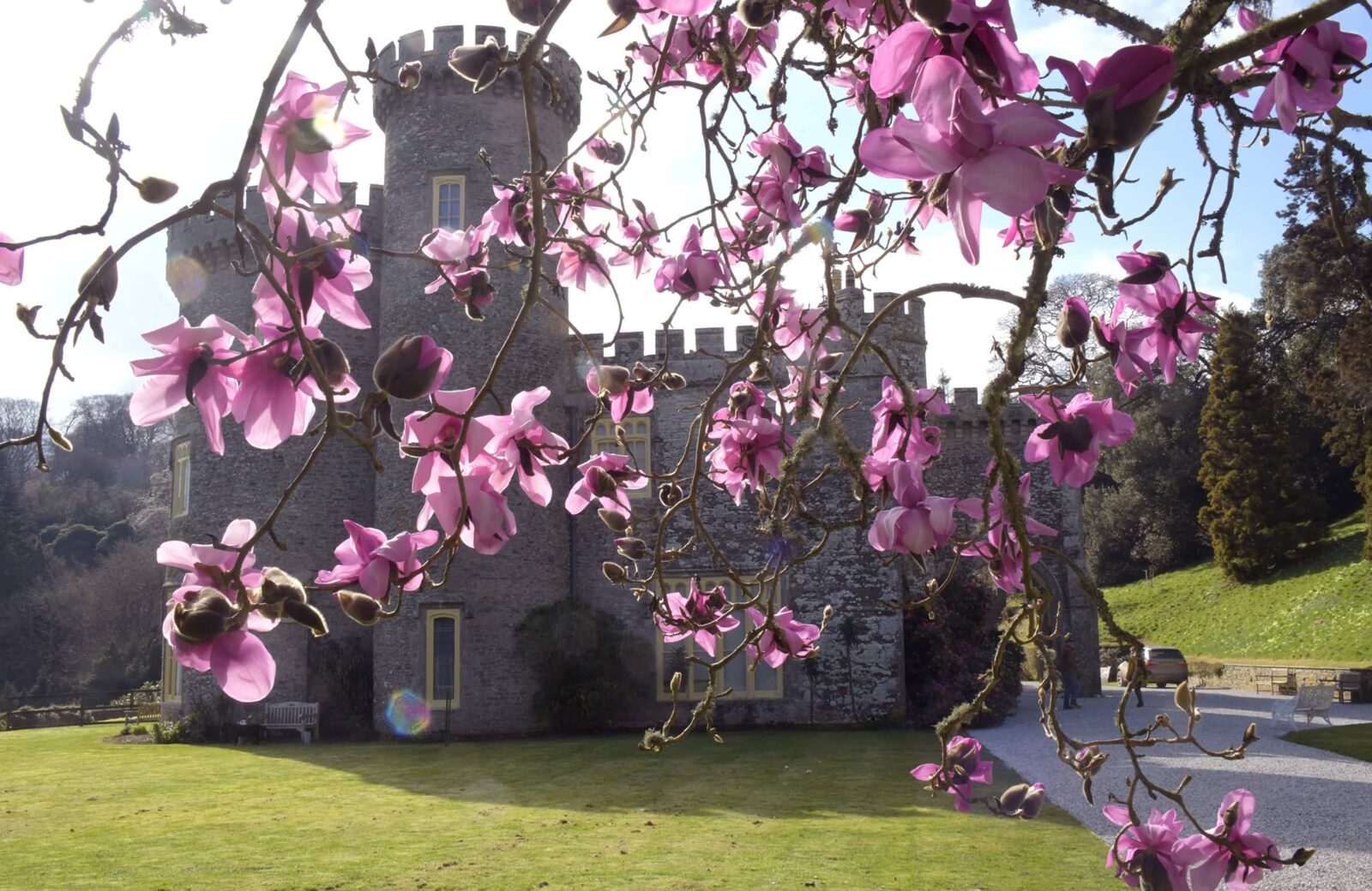 Caerhays Estate