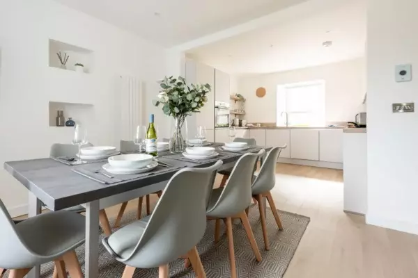 Stick Insects | Cornish Secrets