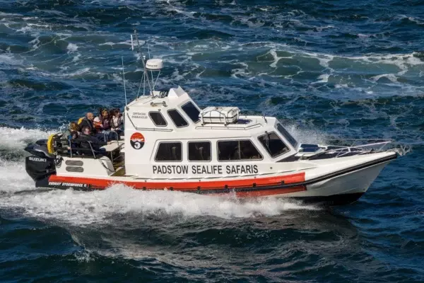 Padstow Sealife safaris